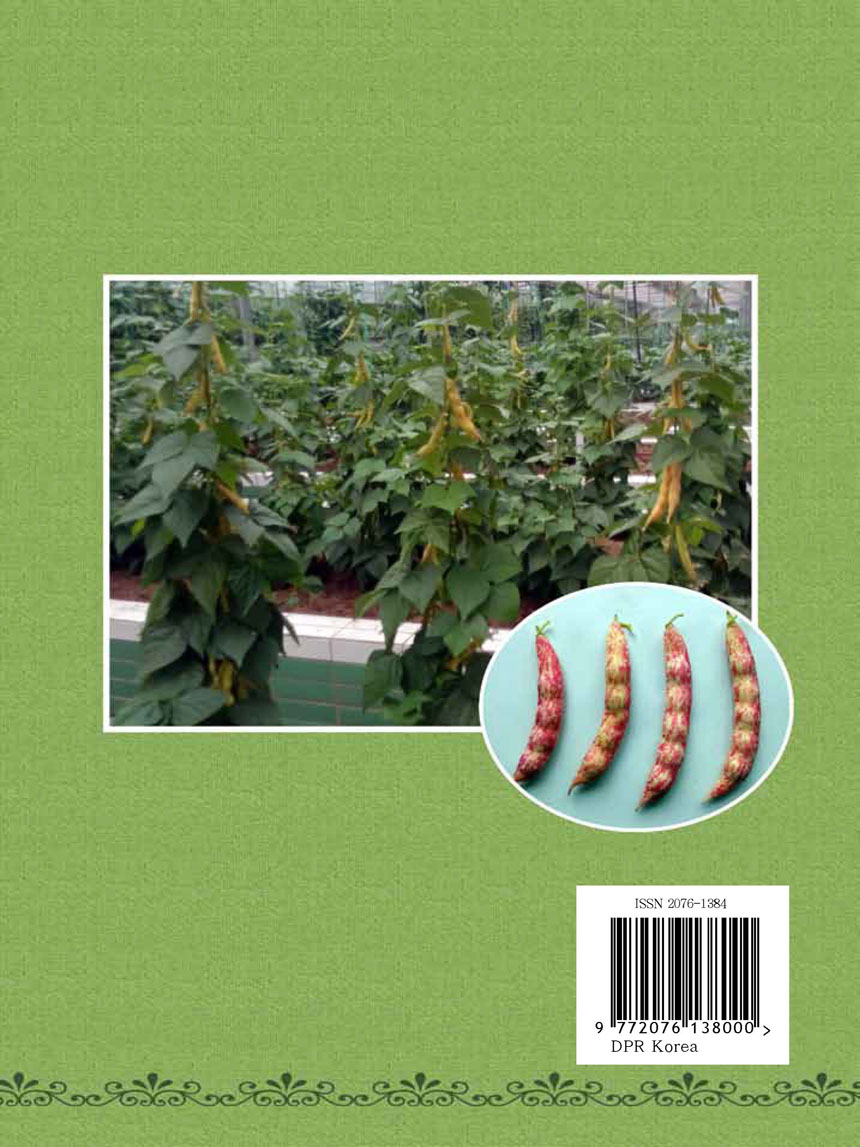 잡지《조선료리》(2026.1호)