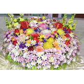 organization_activity_news